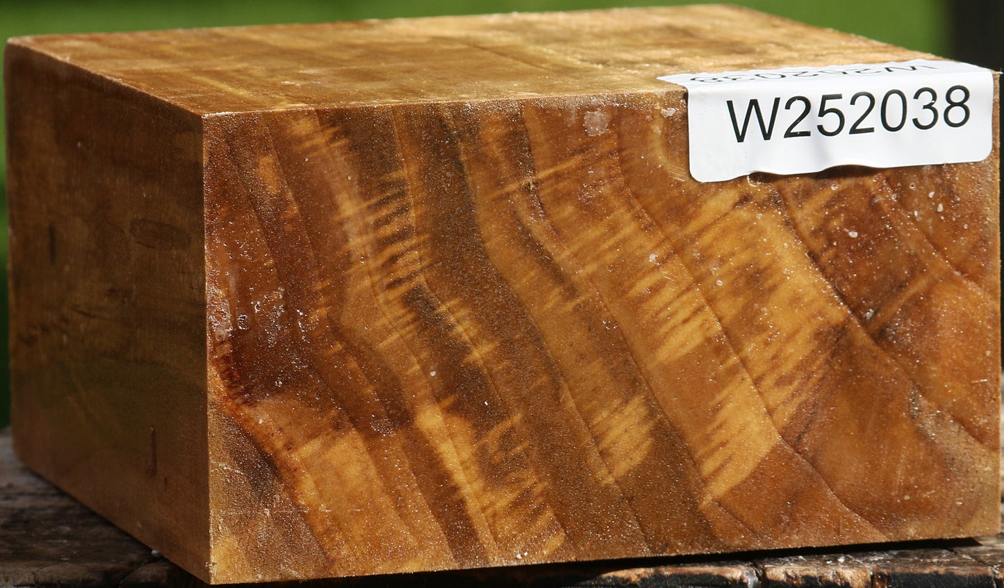 California Cottonwood Bowl Blank