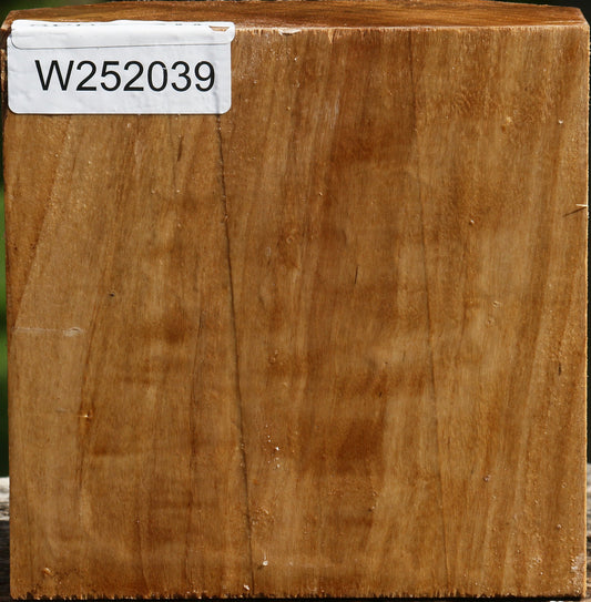 Figured California Cottonwood Bowl Blank