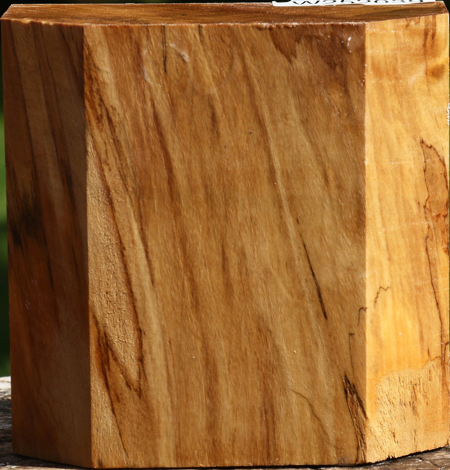 Figured California Cottonwood Bowl Blank