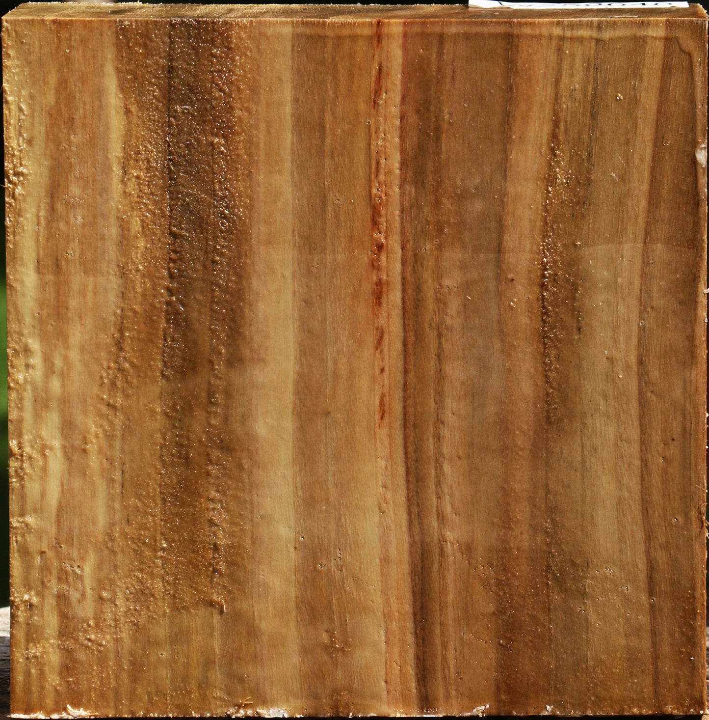 California Cottonwood Bowl Blank