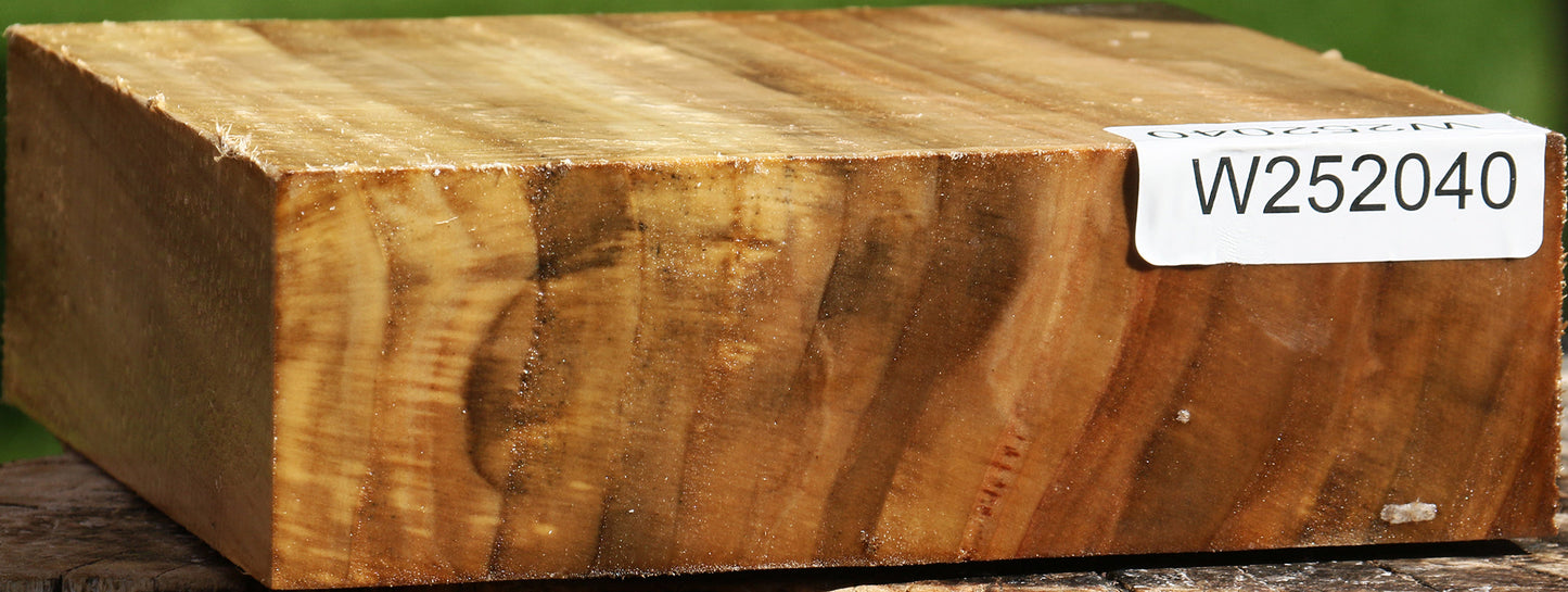 California Cottonwood Bowl Blank
