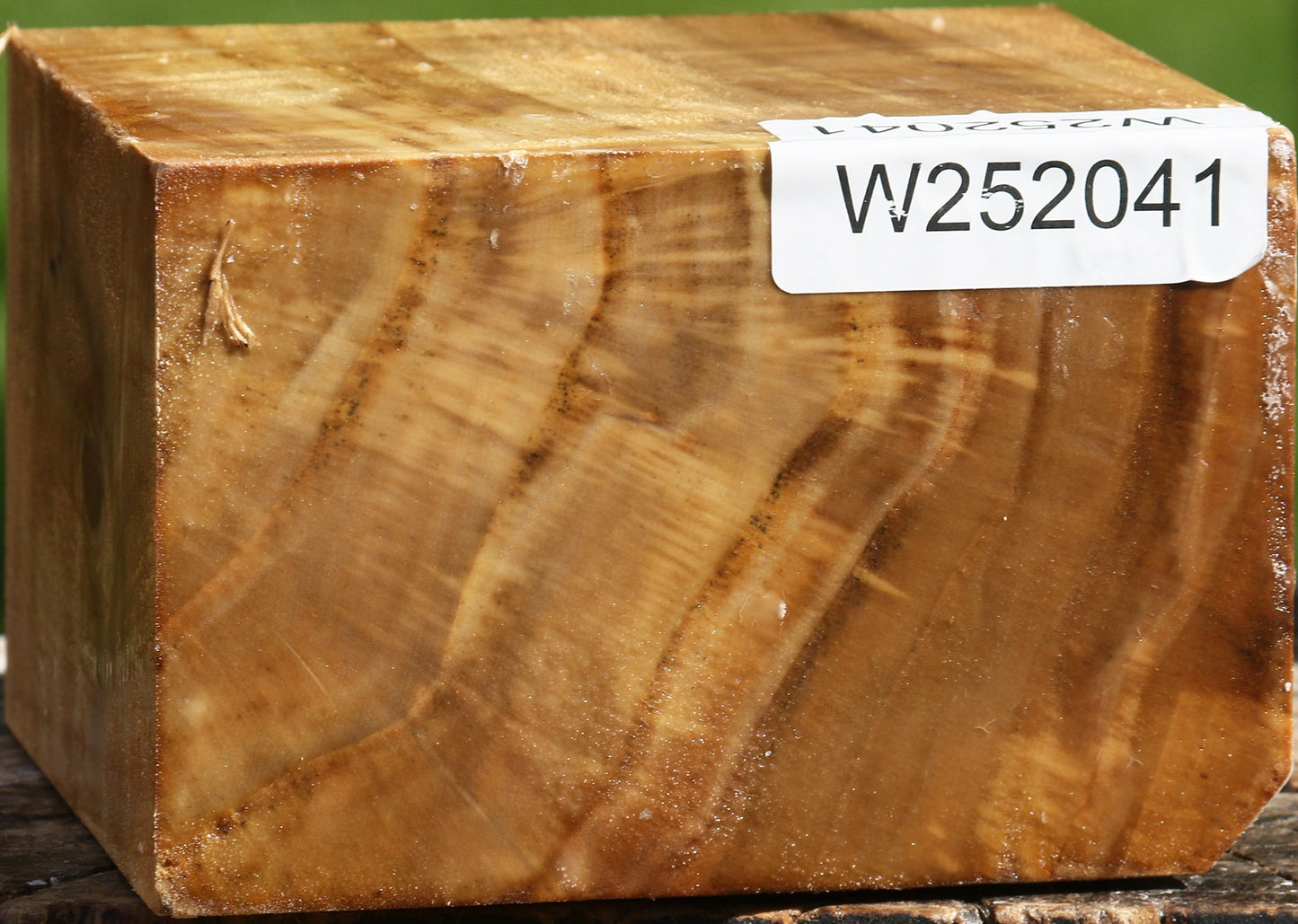 California Cottonwood Bowl Blank