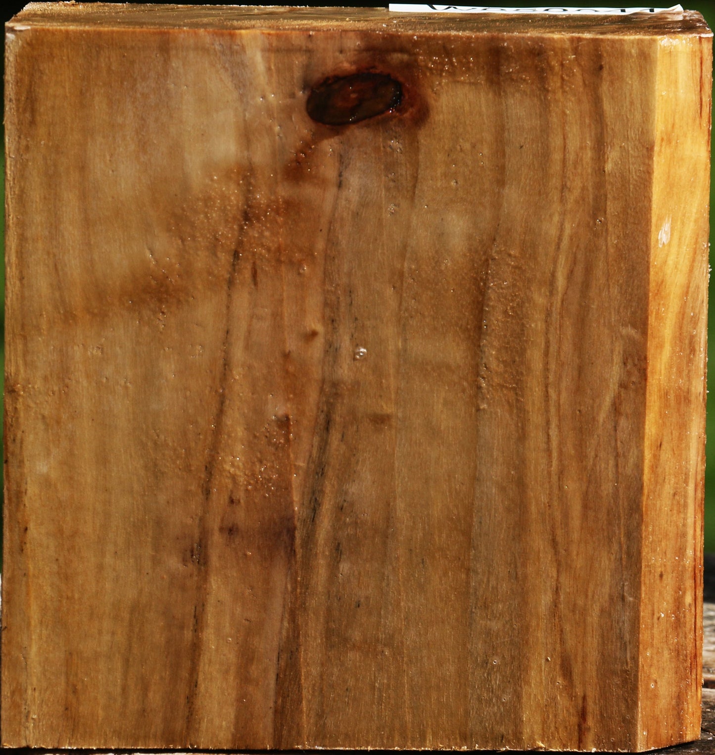 California Cottonwood Bowl Blank