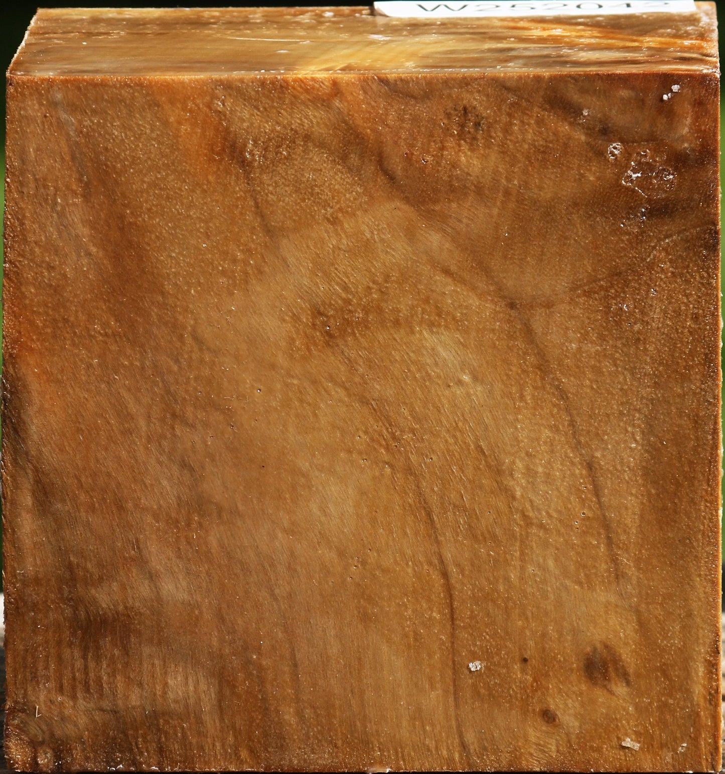 Figured California Cottonwood Bowl Blank