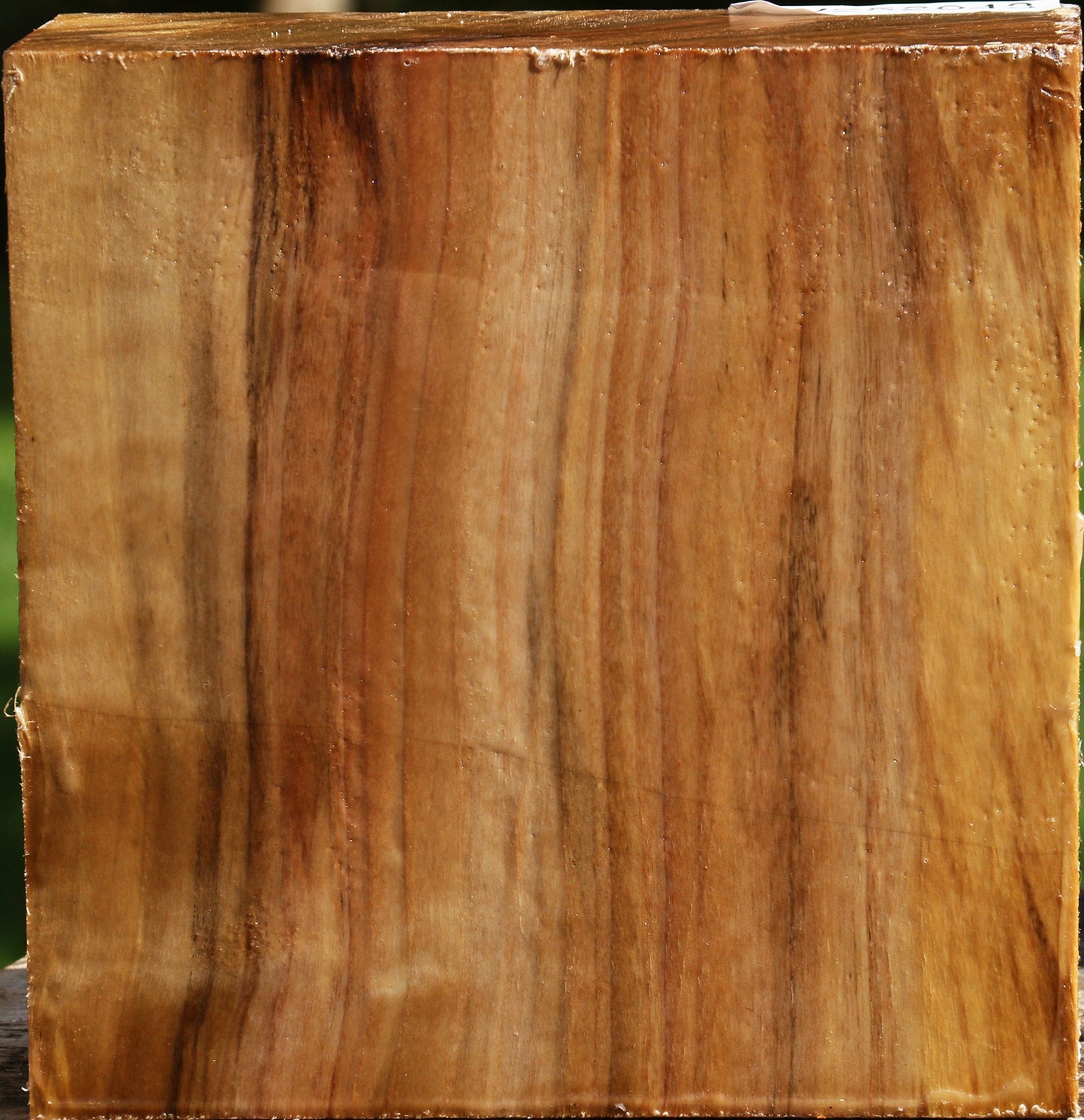 California Cottonwood Bowl Blank