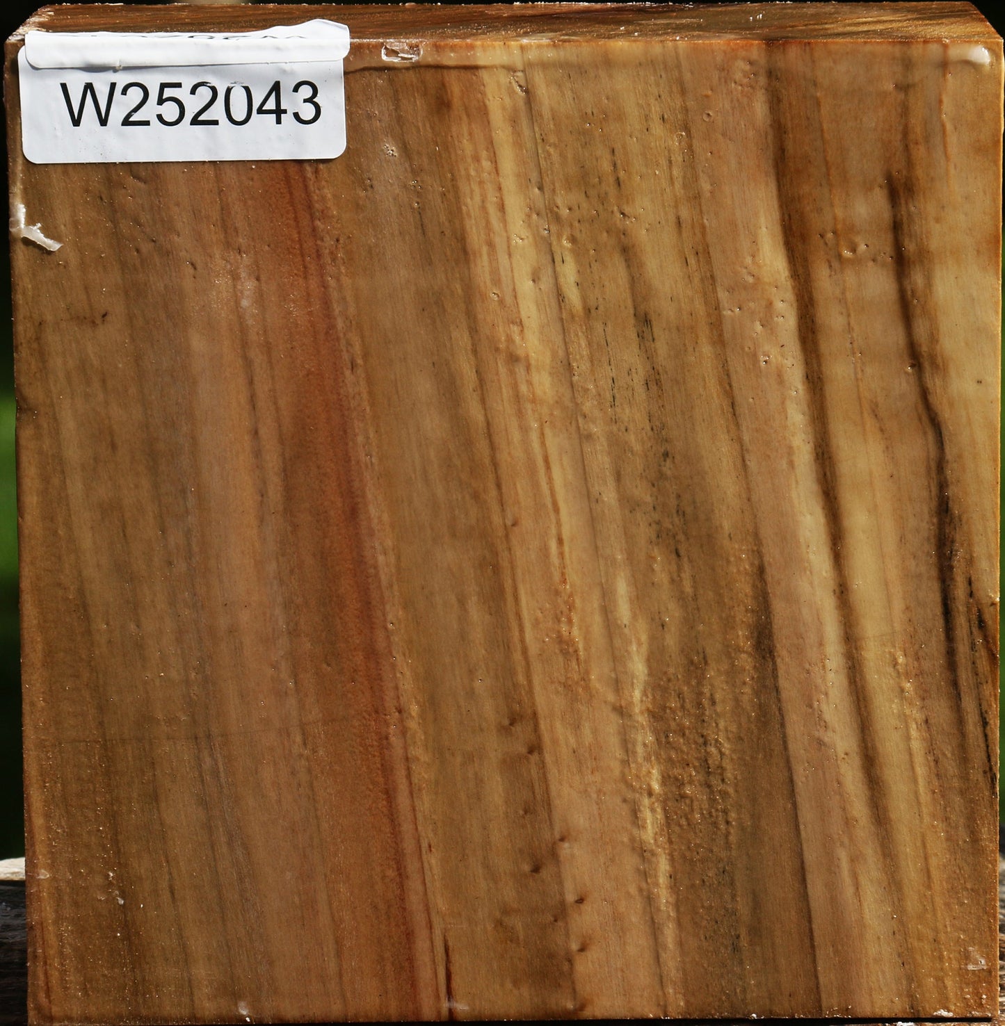 California Cottonwood Bowl Blank