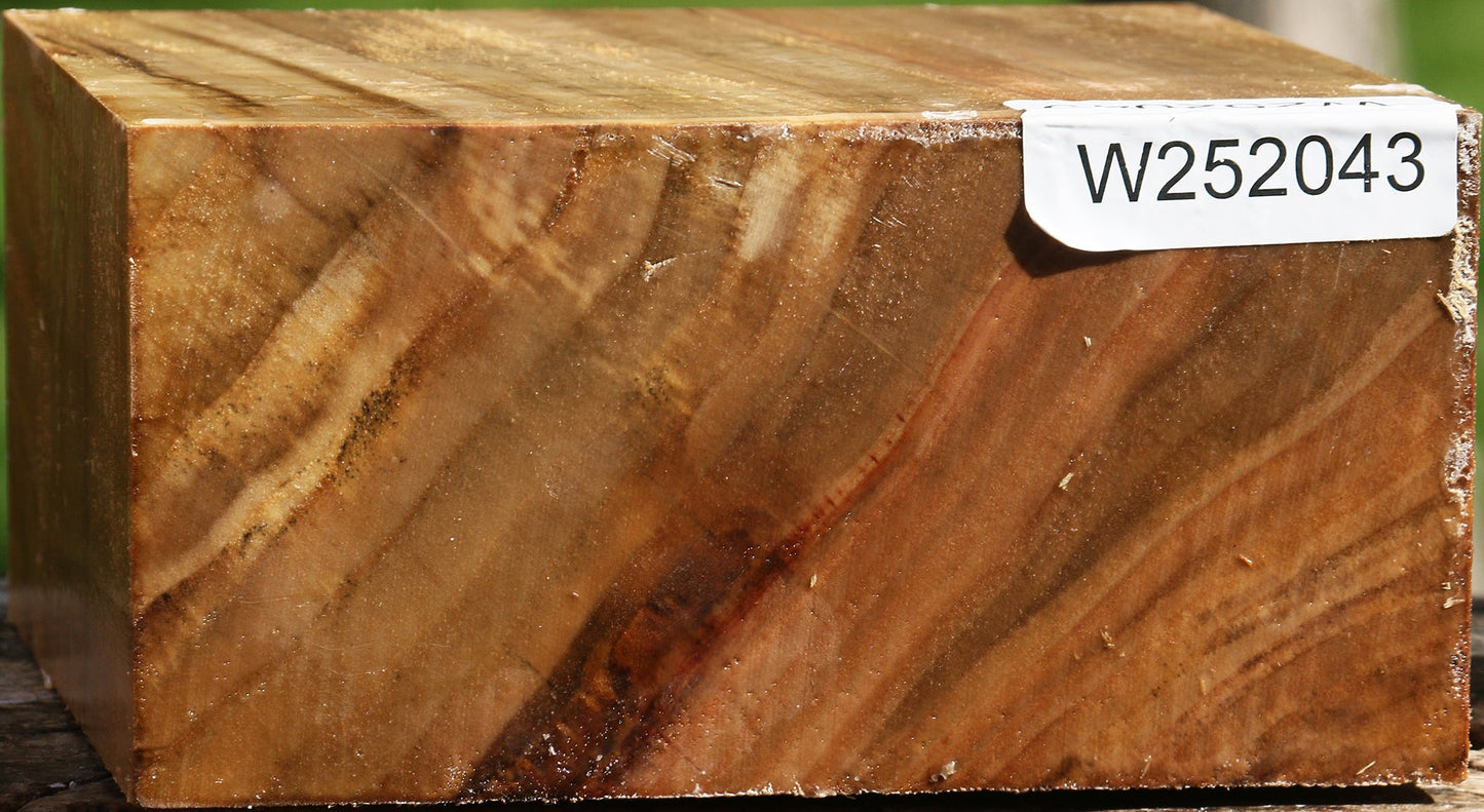 California Cottonwood Bowl Blank