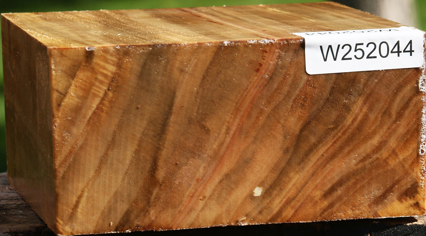 Figured California Cottonwood Bowl Blank