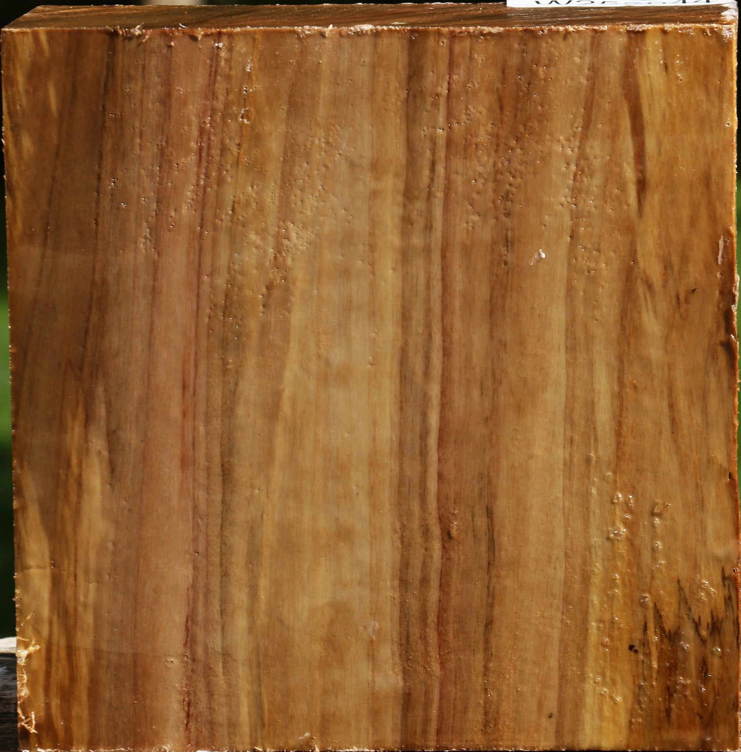 Figured California Cottonwood Bowl Blank