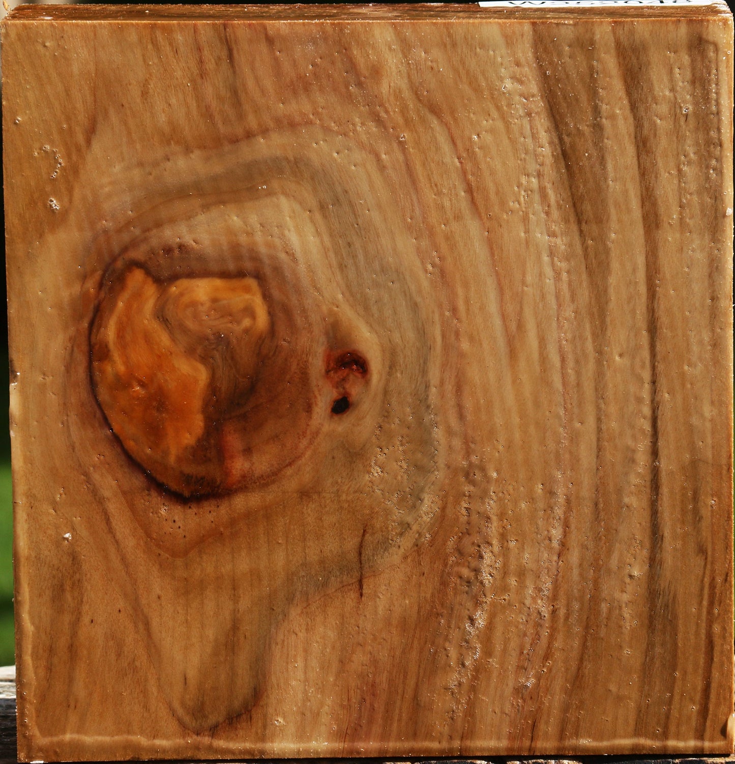 California Cottonwood Bowl Blank