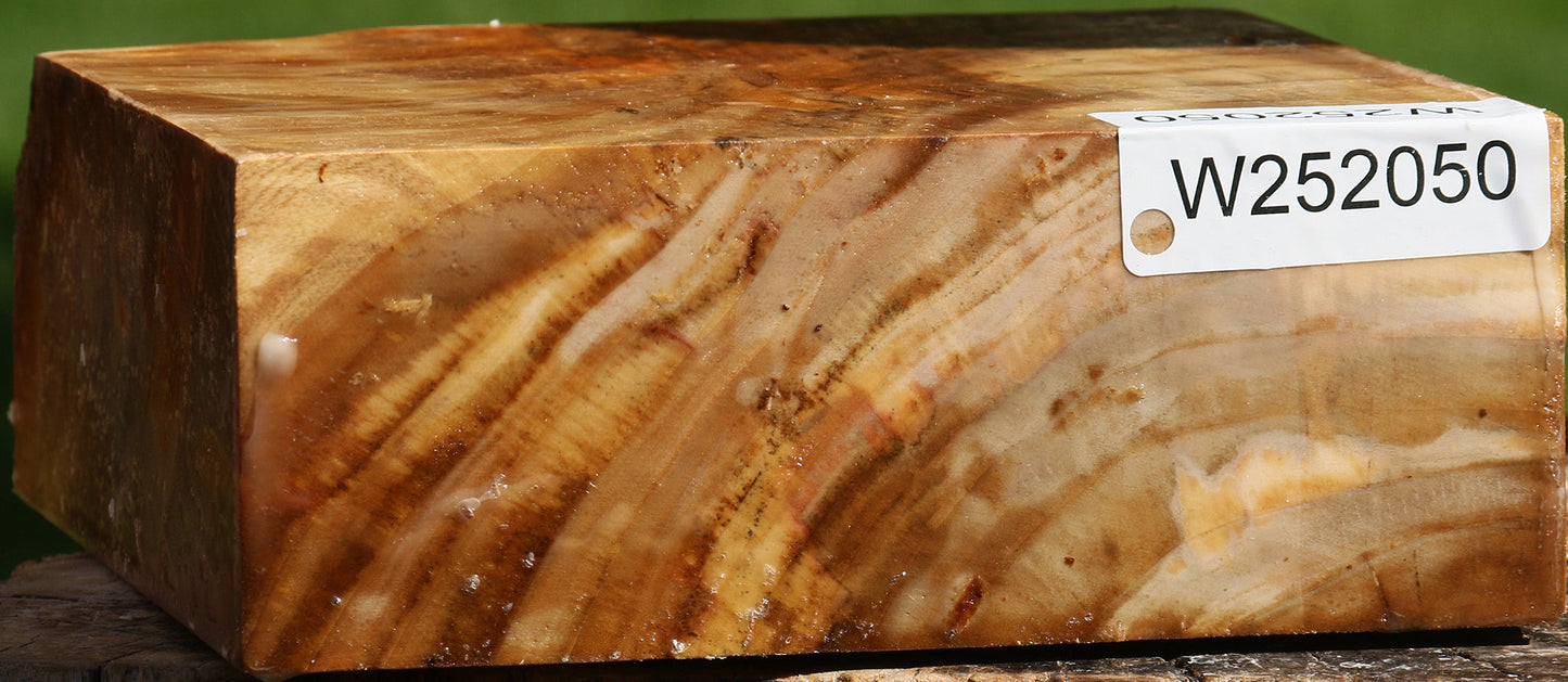 Extra Fancy California Cottonwood Bowl Blank