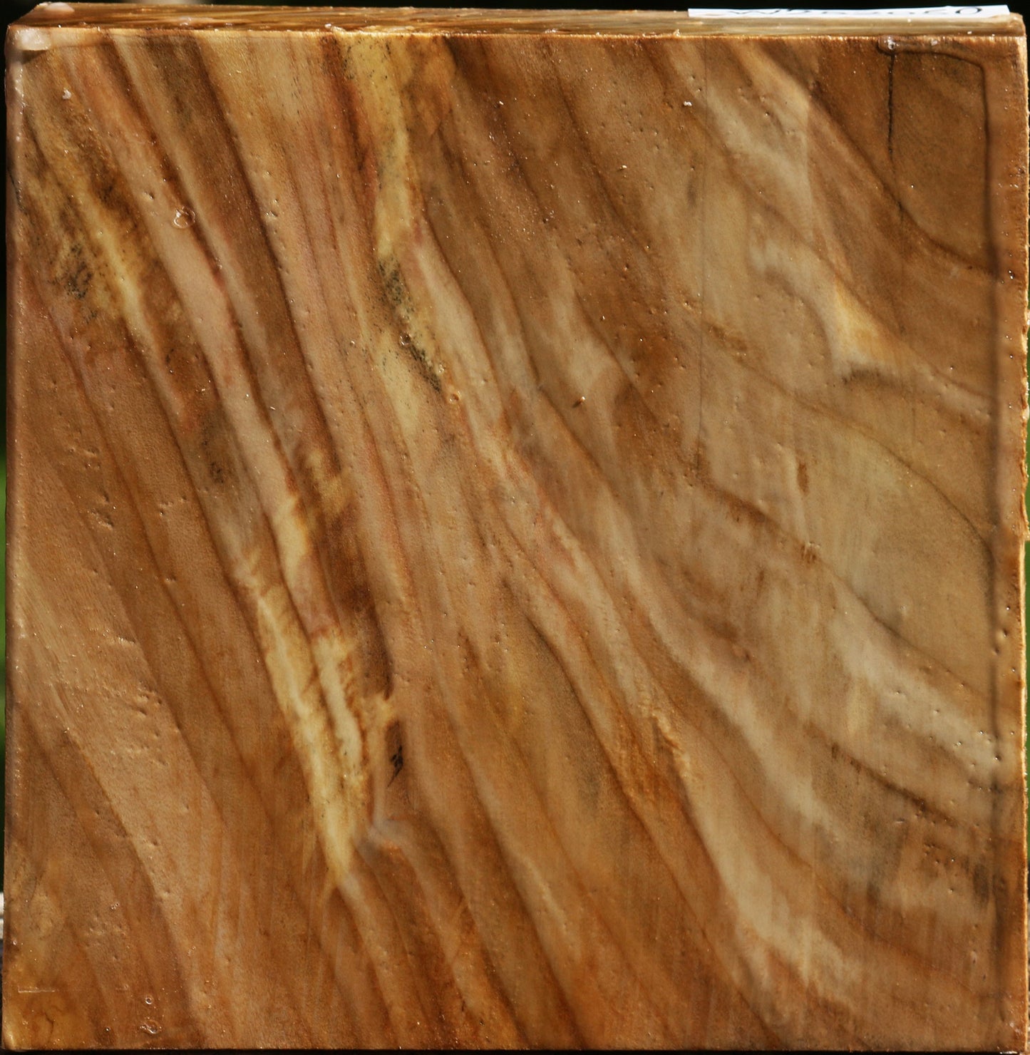 Extra Fancy California Cottonwood Bowl Blank