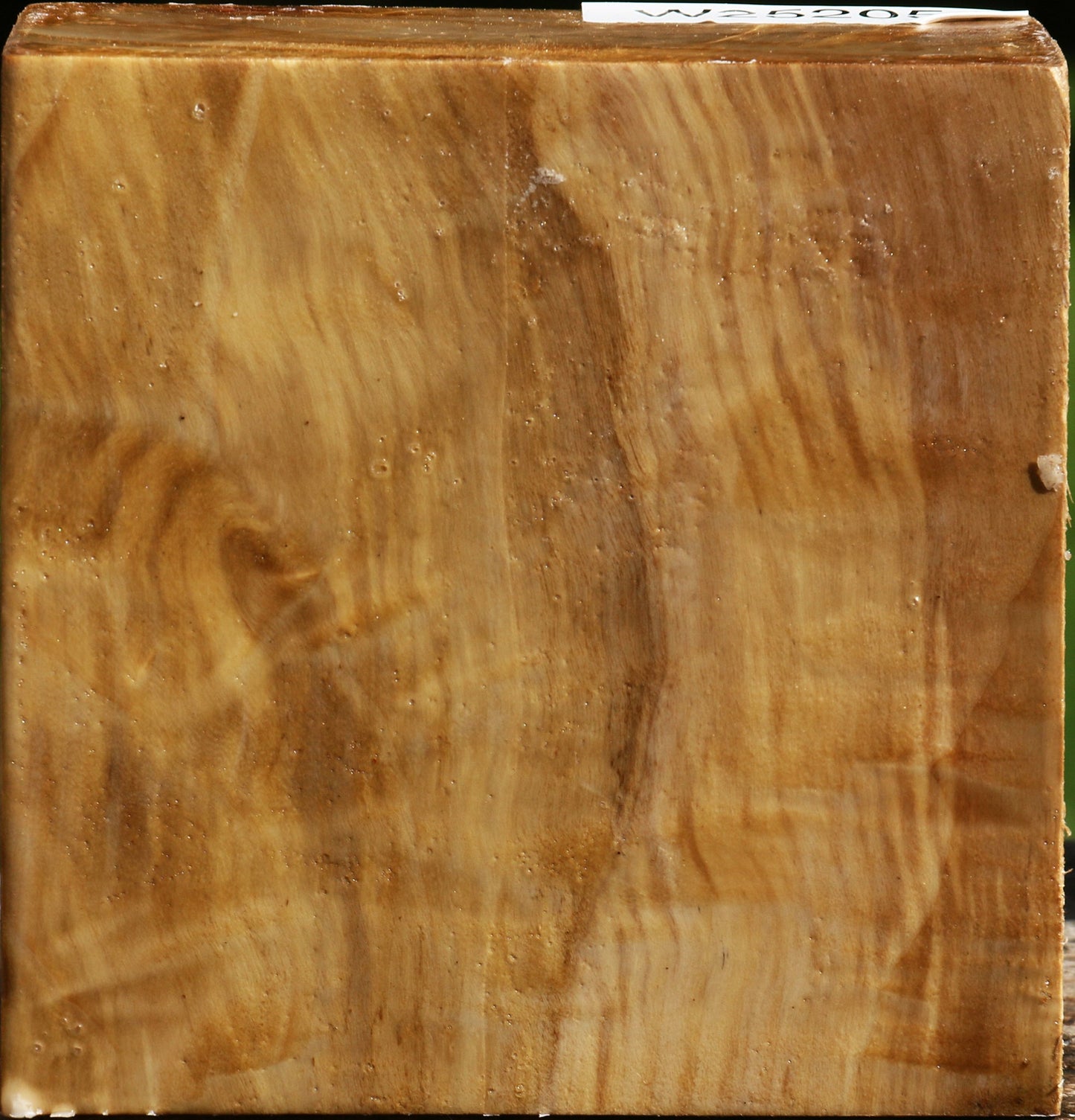 Figured California Cottonwood Bowl Blank