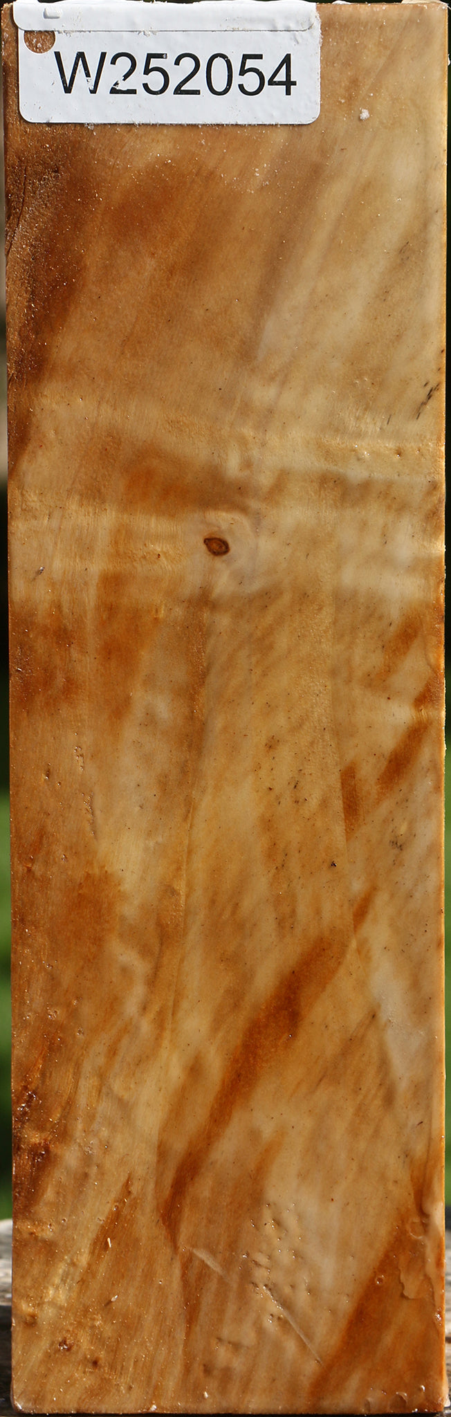 California Cottonwood Vessel Blank