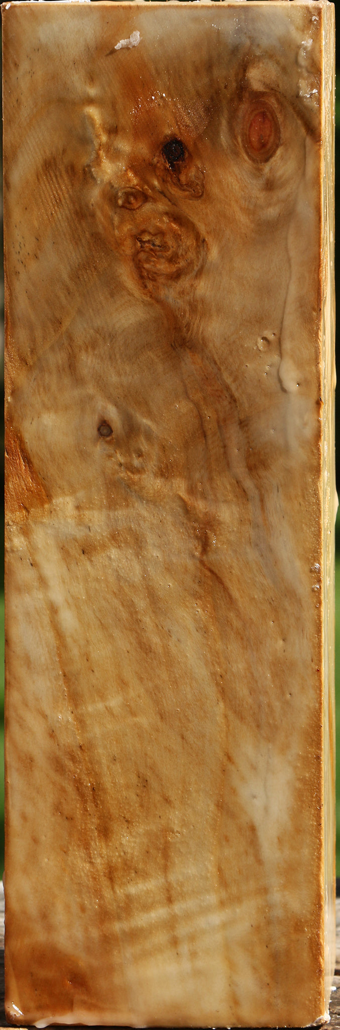 California Cottonwood Vessel Blank