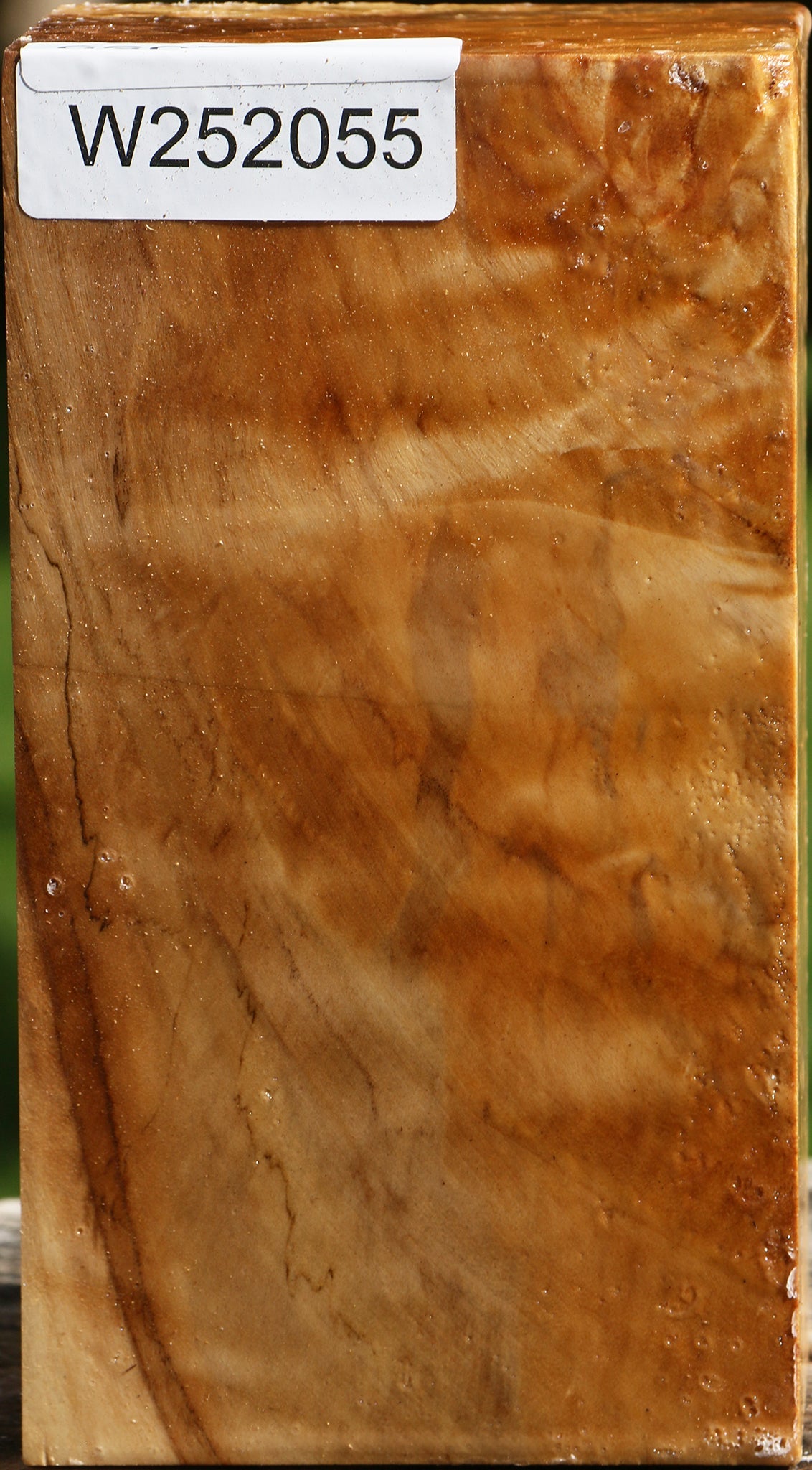 Figured California Cottonwood Turning Square