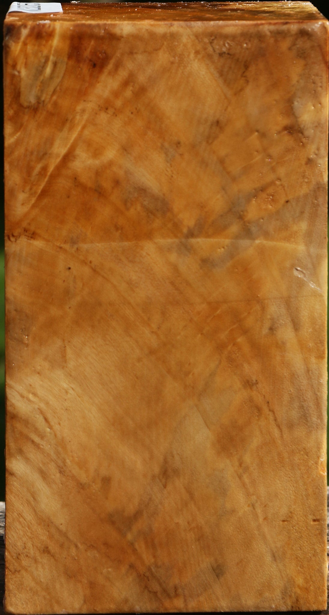 Figured California Cottonwood Turning Square