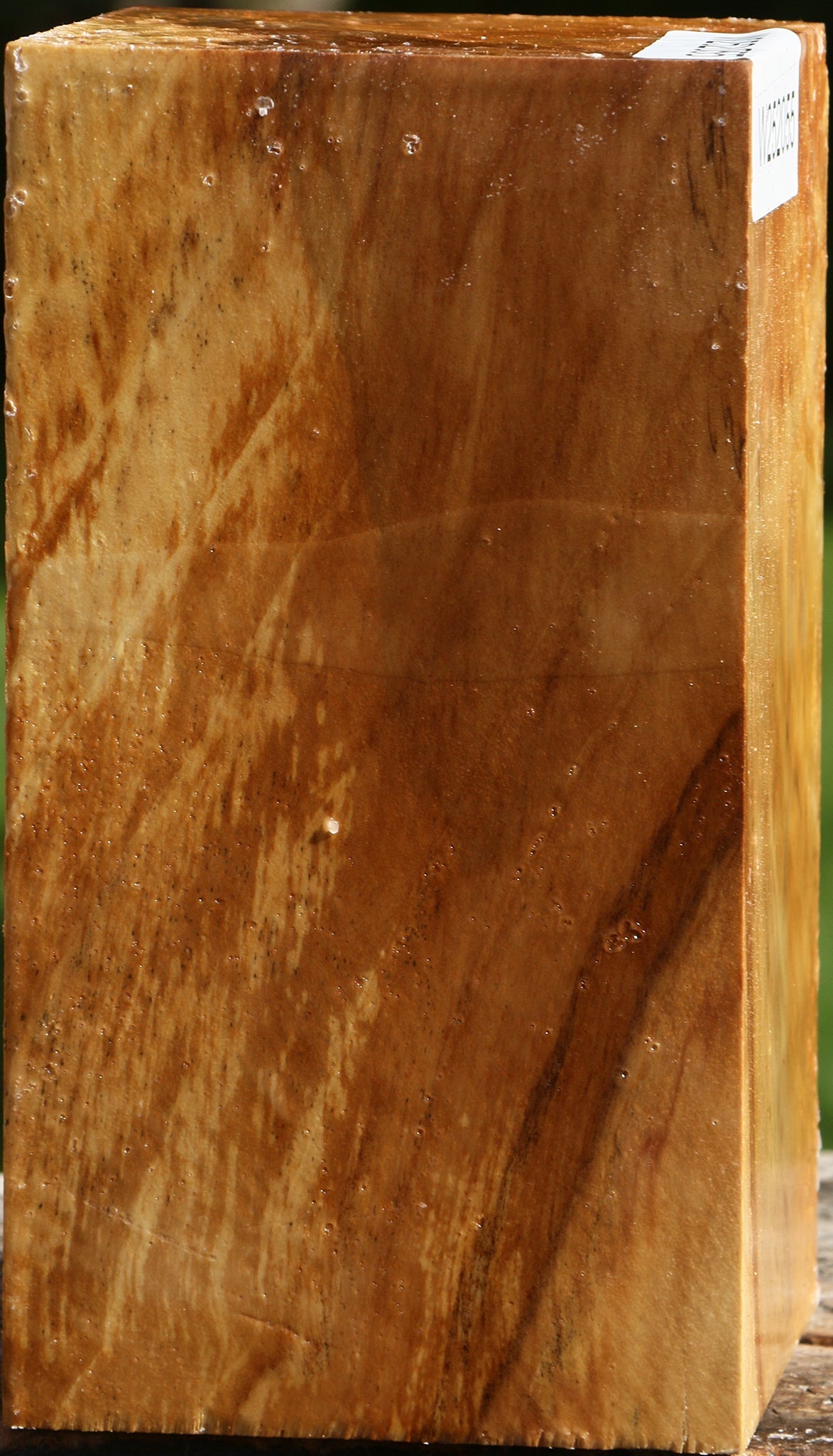 Figured California Cottonwood Turning Square