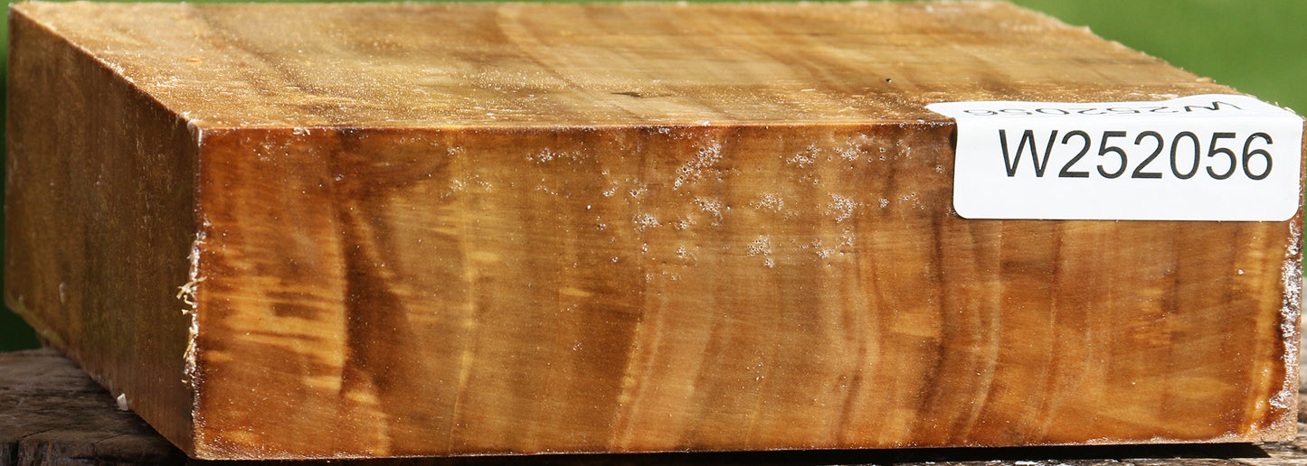 Figured California Cottonwood Bowl Blank