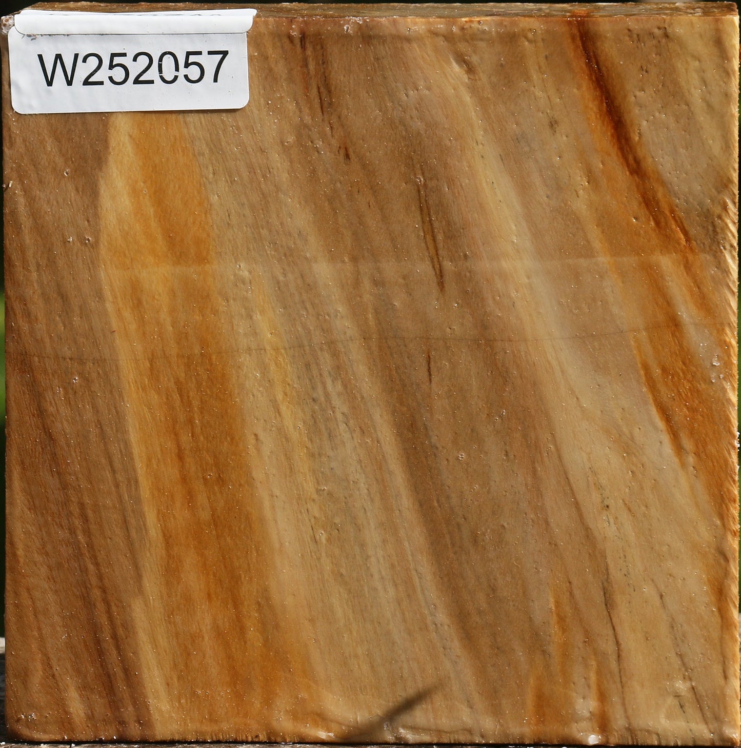 California Cottonwood Bowl Blank