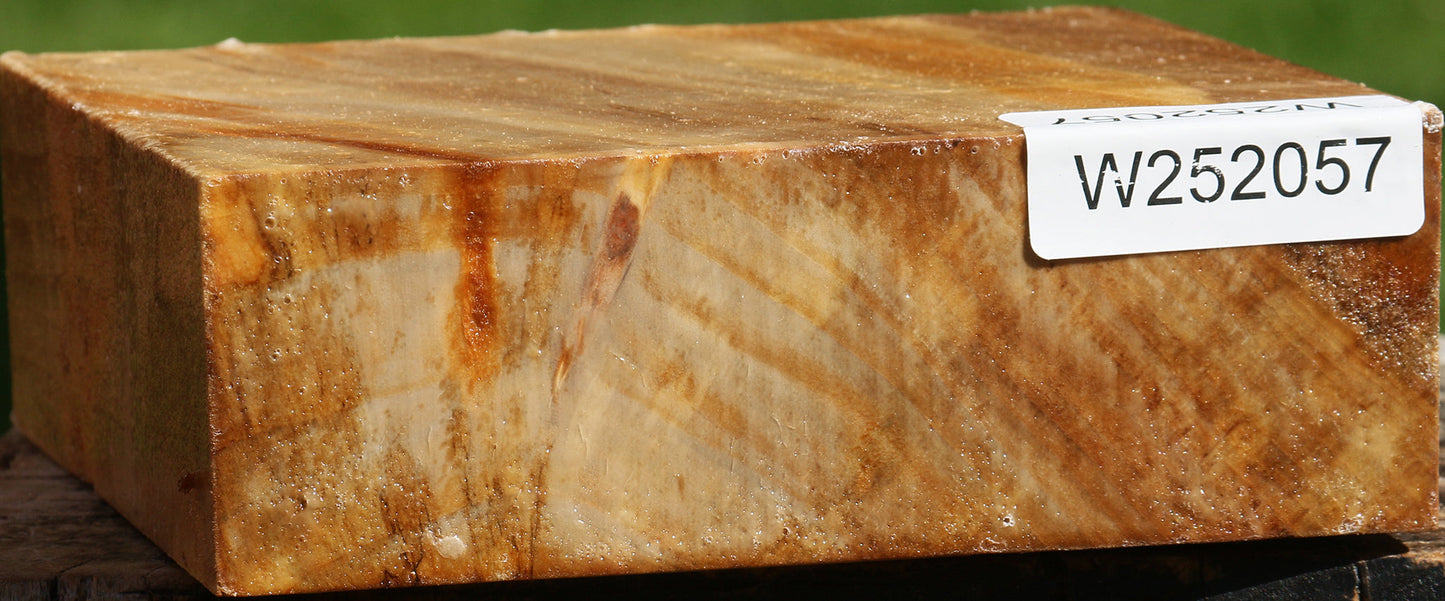 California Cottonwood Bowl Blank