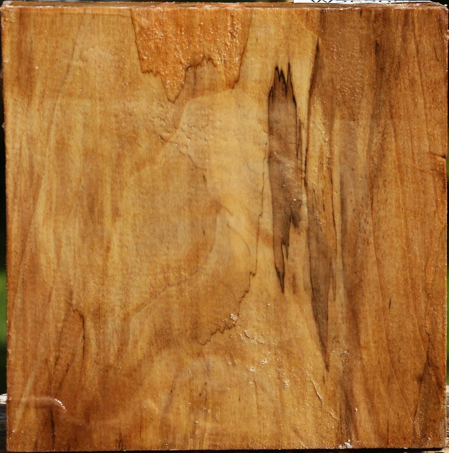 California Cottonwood Bowl Blank