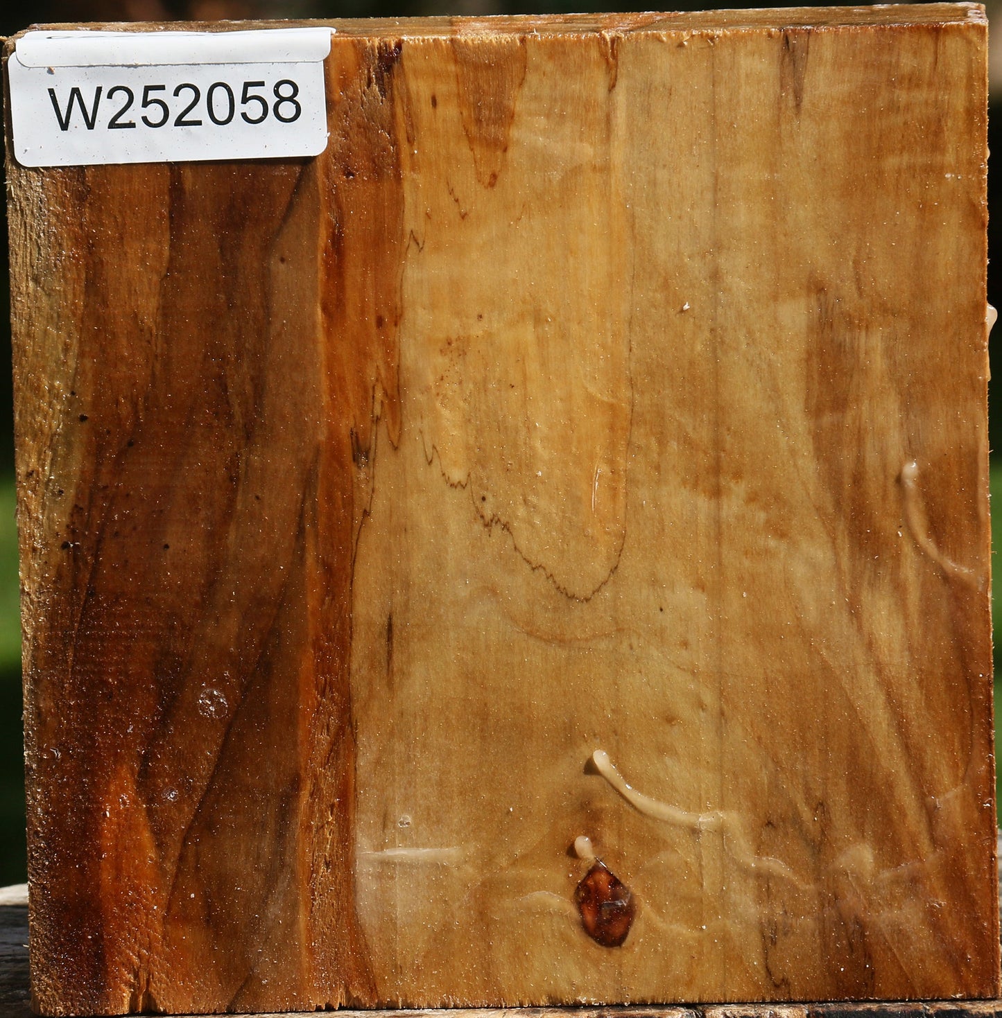 California Cottonwood Bowl Blank