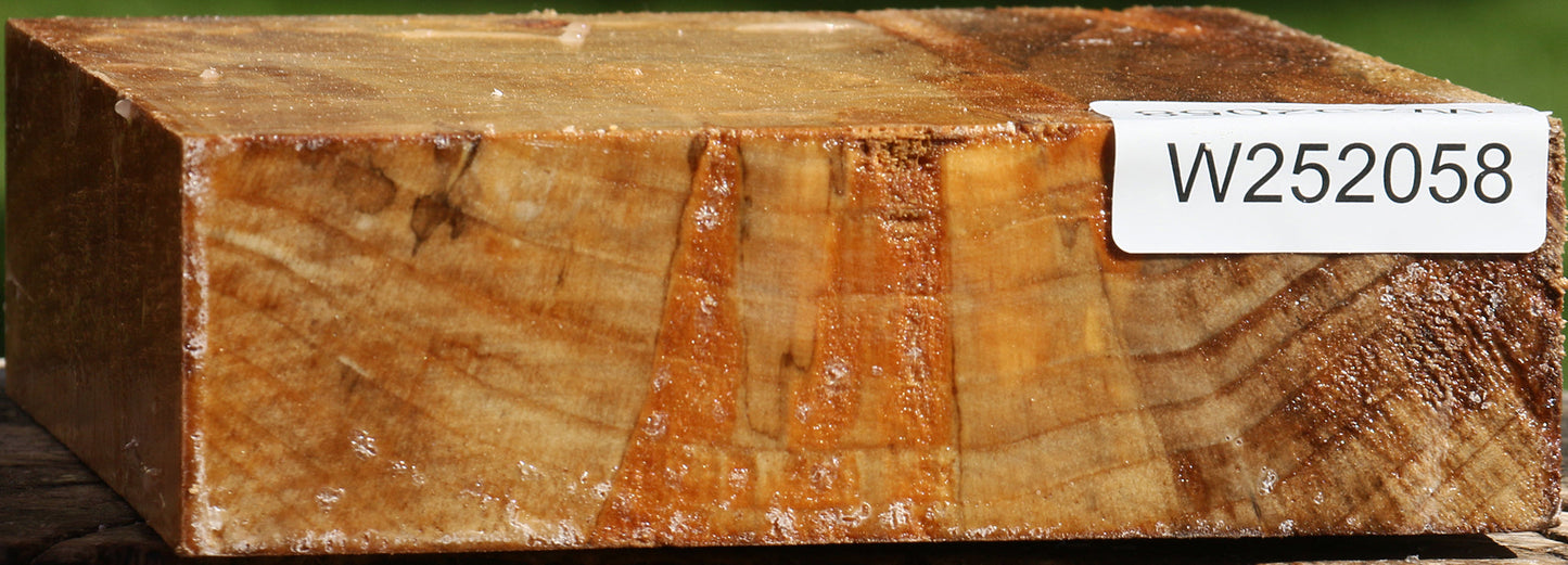California Cottonwood Bowl Blank