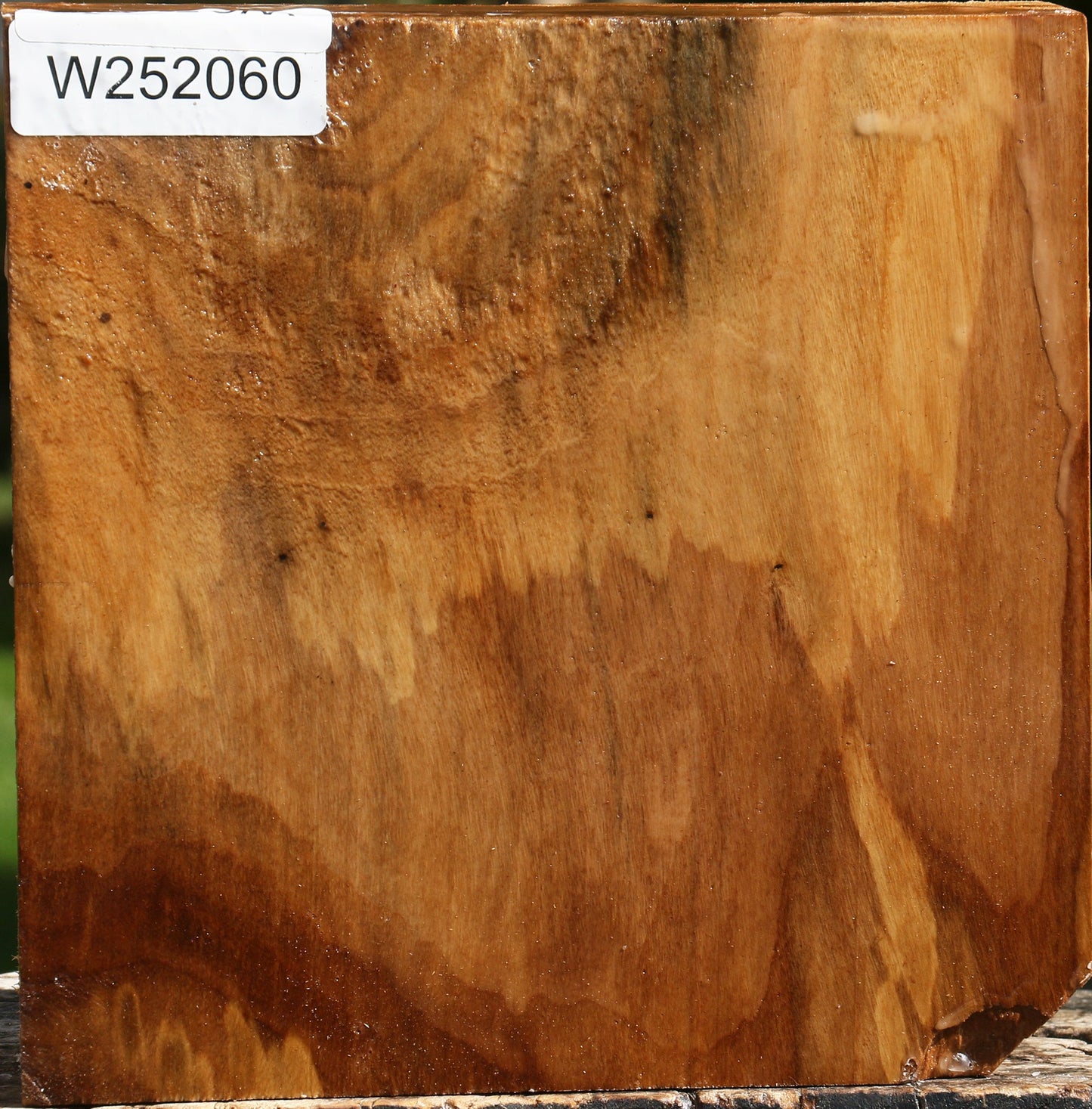 California Cottonwood Bowl Blank