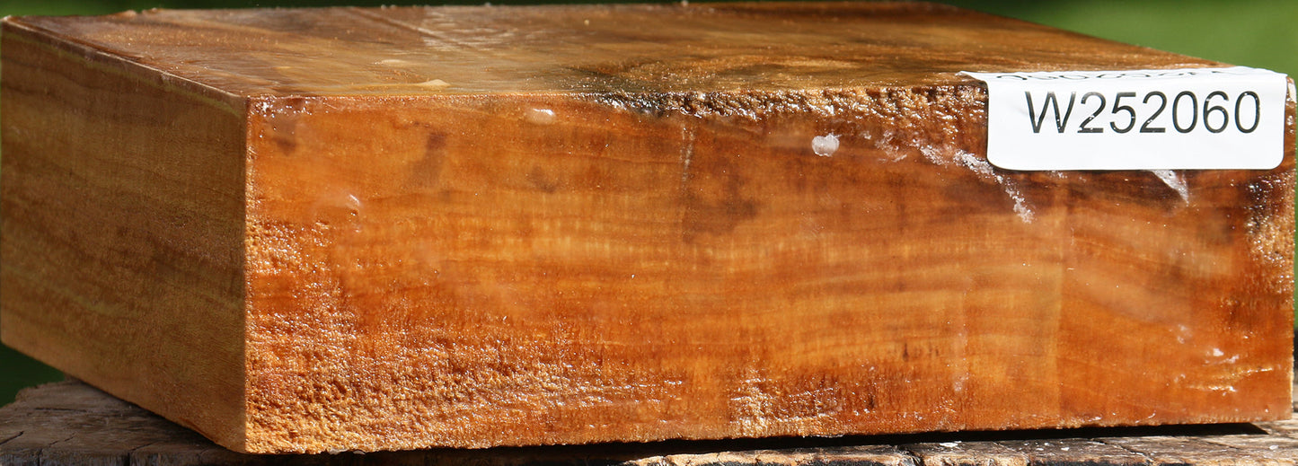 California Cottonwood Bowl Blank