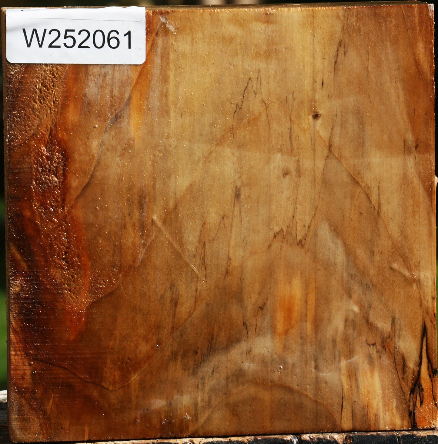 California Cottonwood Bowl Blank