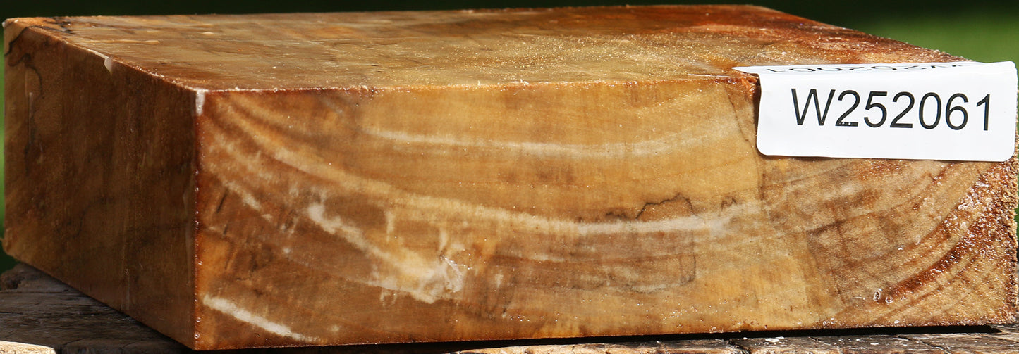 California Cottonwood Bowl Blank