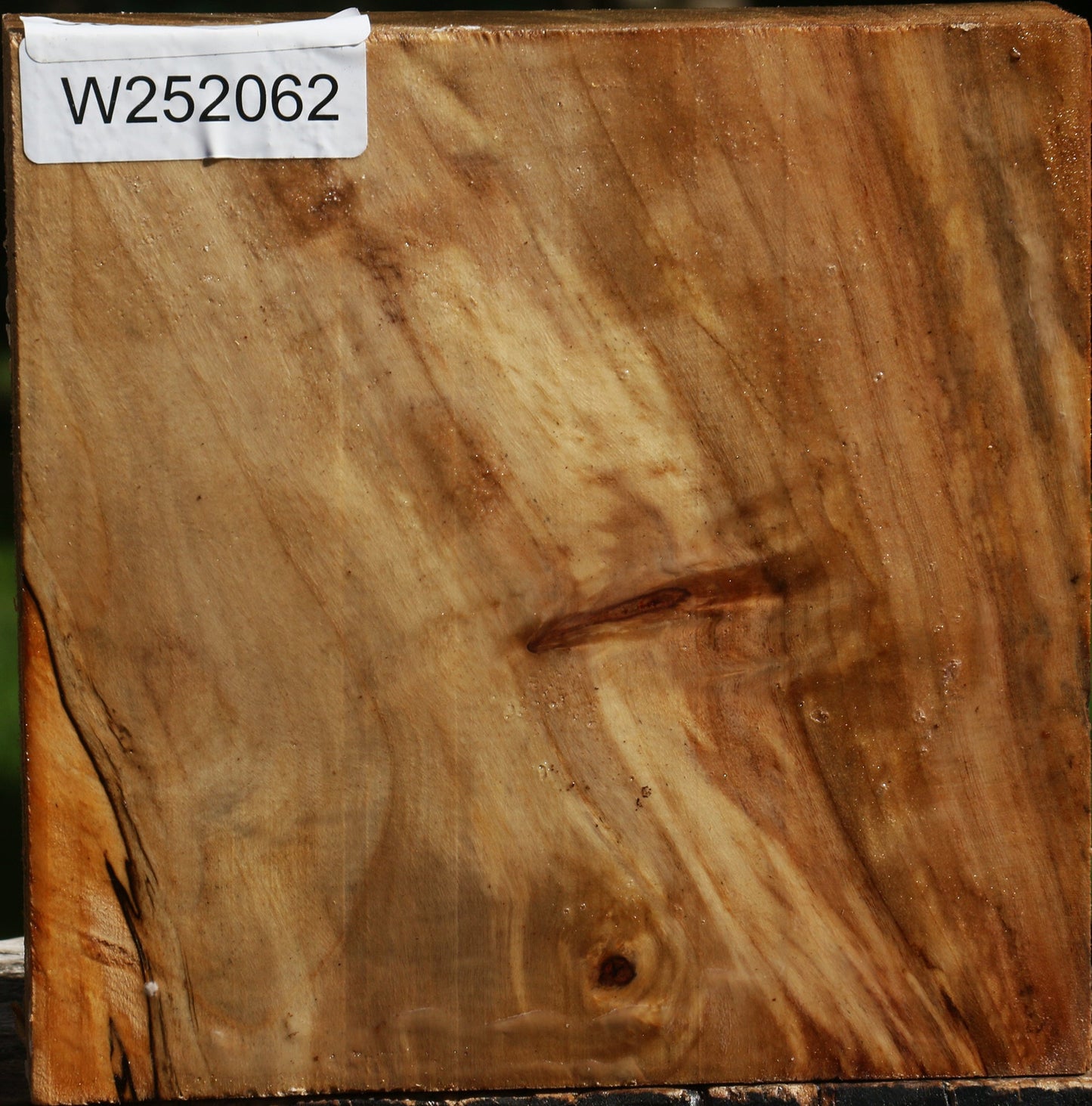 California Cottonwood Bowl Blank