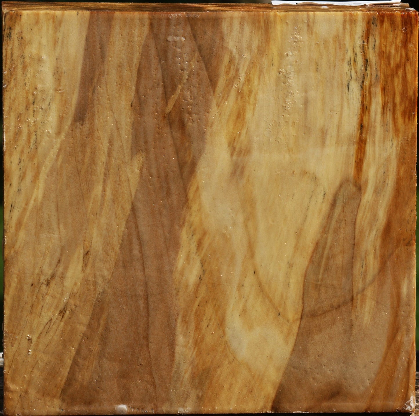 Figured California Cottonwood Bowl Blank