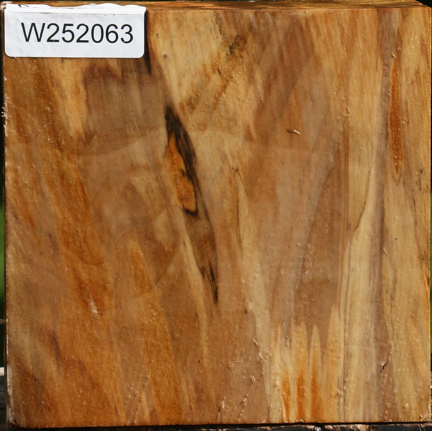 Figured California Cottonwood Bowl Blank