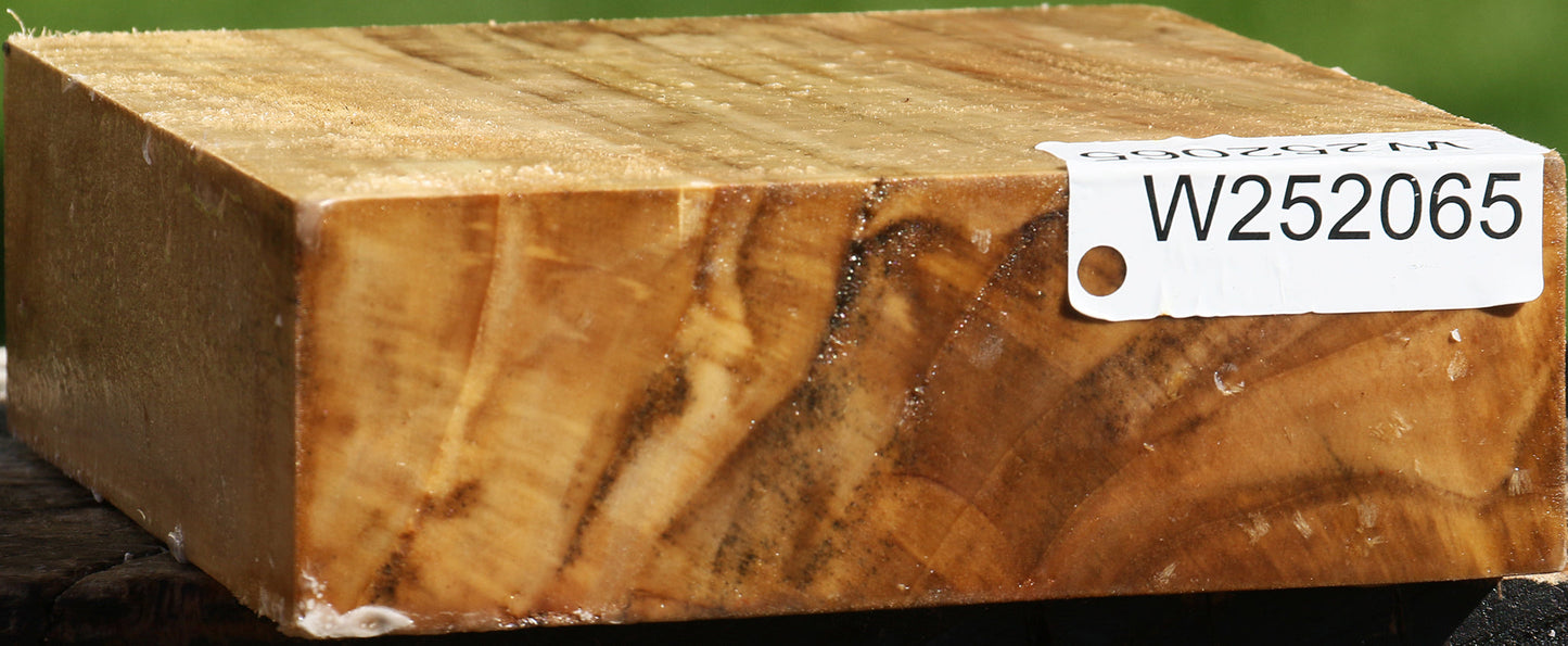 California Cottonwood Bowl Blank