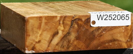 California Cottonwood Bowl Blank