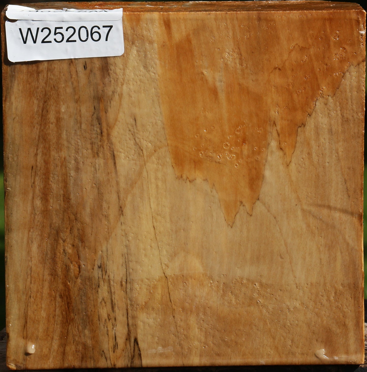 California Cottonwood Bowl Blank