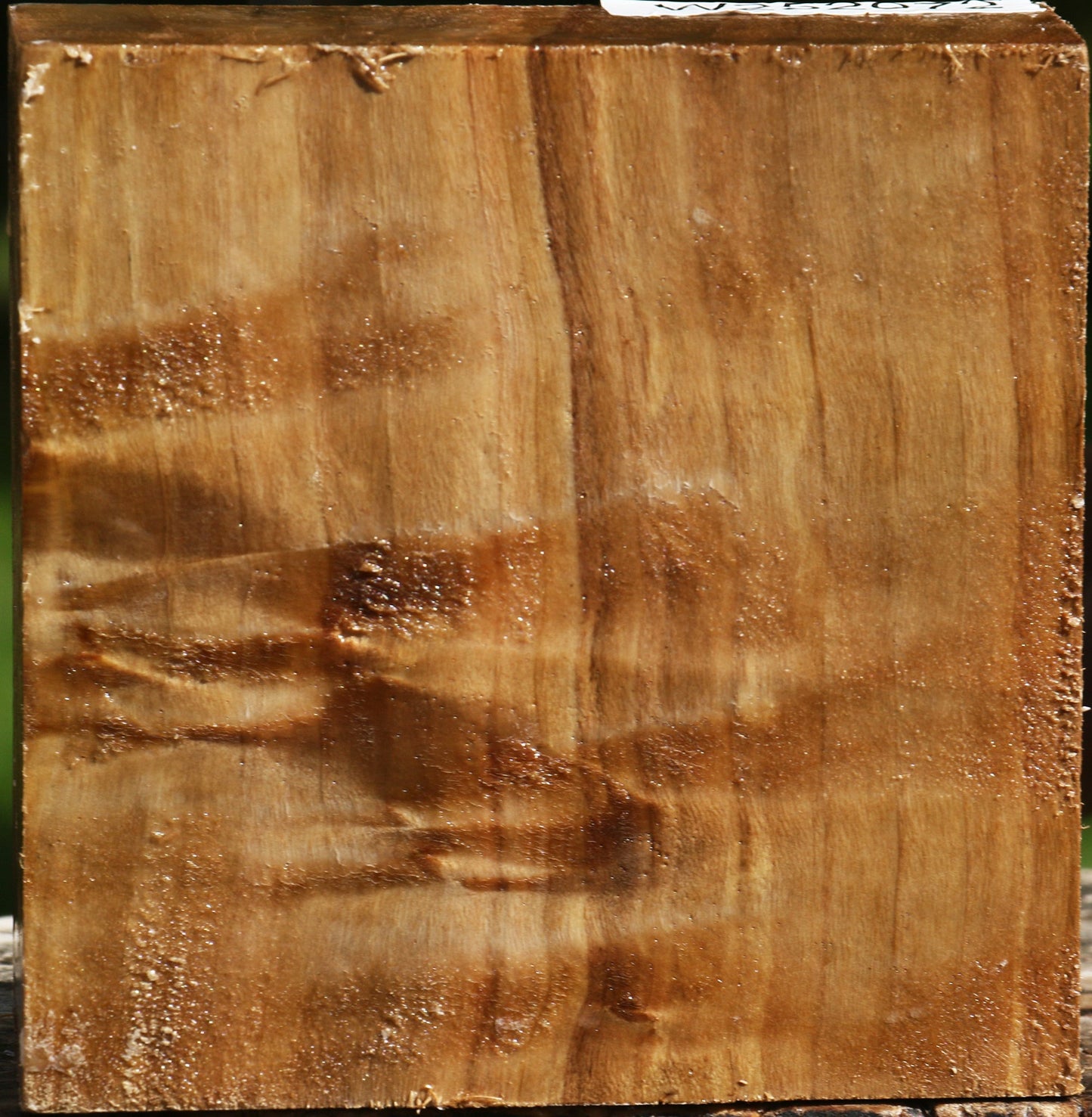 Figured California Cottonwood Bowl Blank