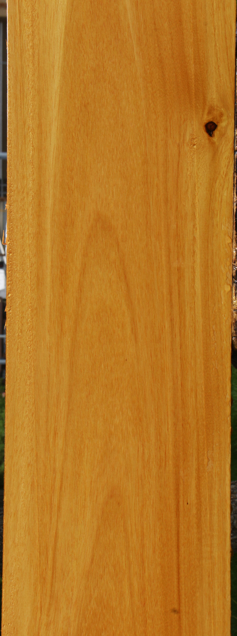 Argentine Osage Orange Lumber