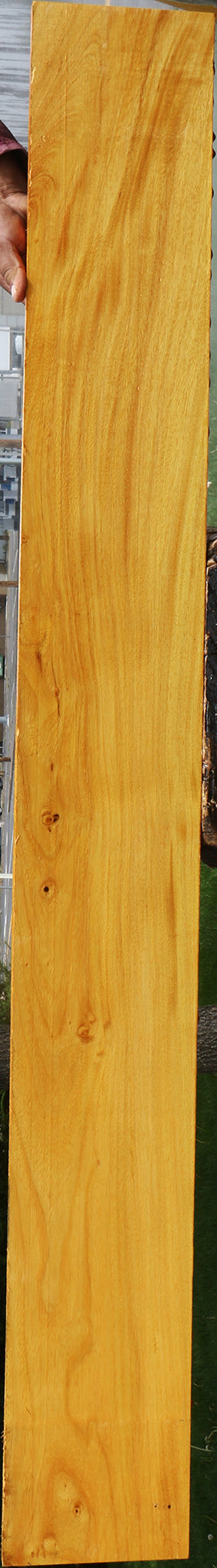 Argentine Osage Orange Lumber