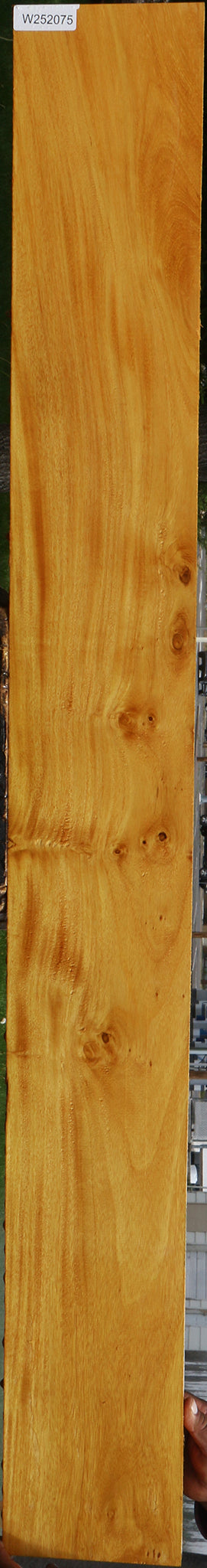 Argentine Osage Orange Lumber