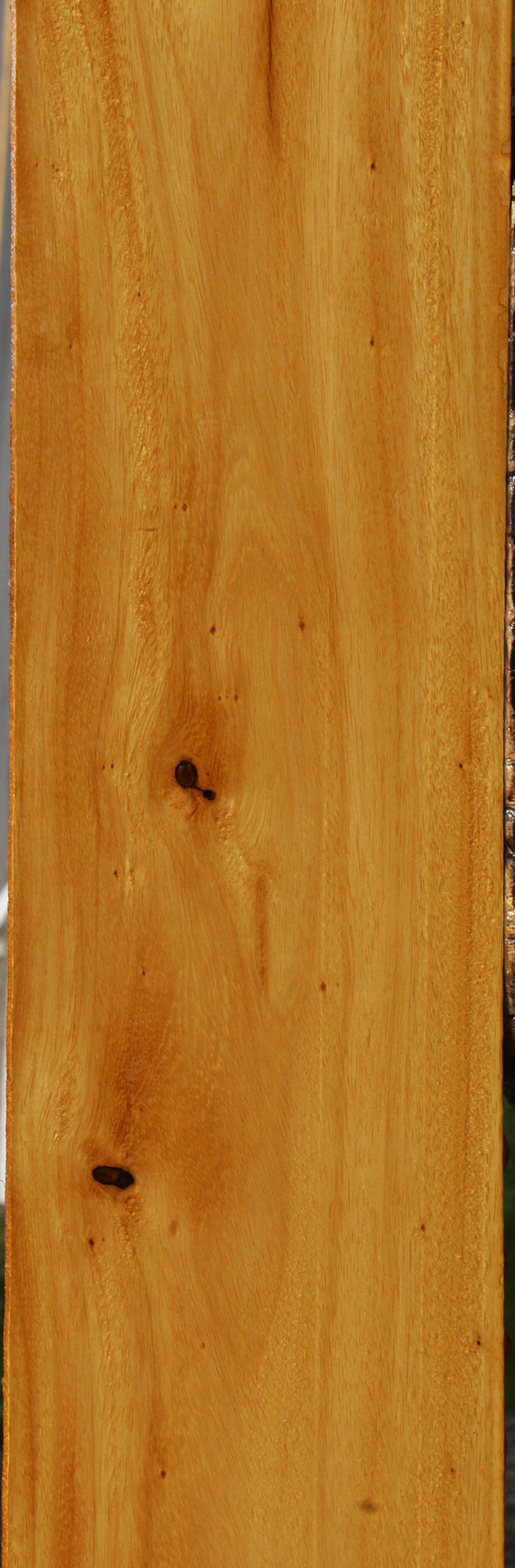 Argentine Osage Orange Lumber