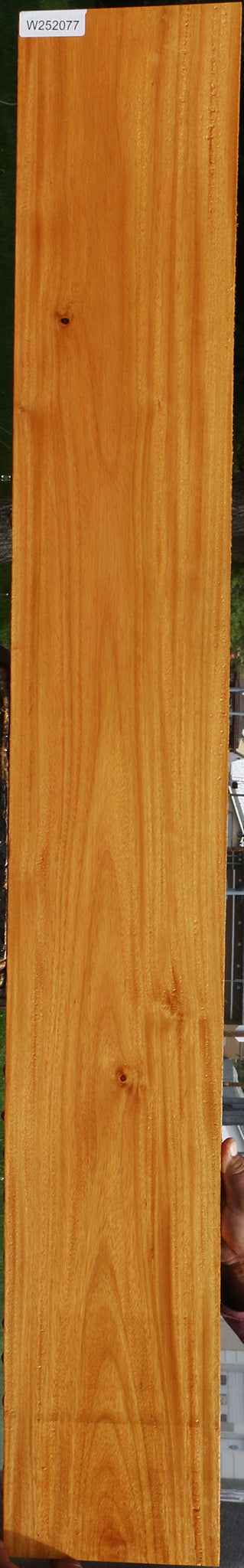 Argentine Osage Orange Lumber