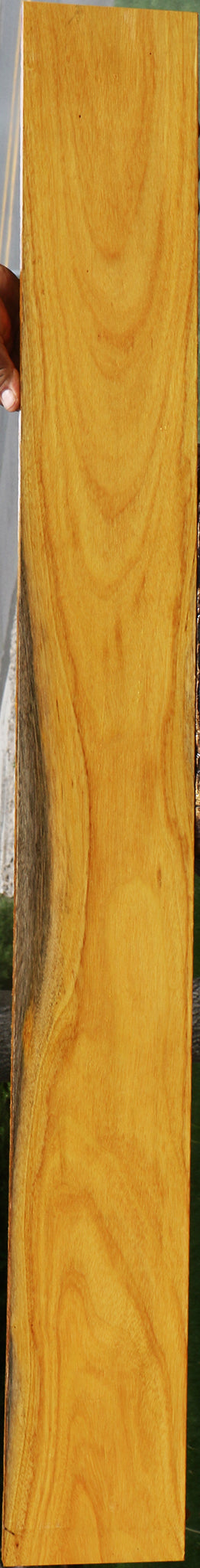 Argentine Osage Orange Lumber
