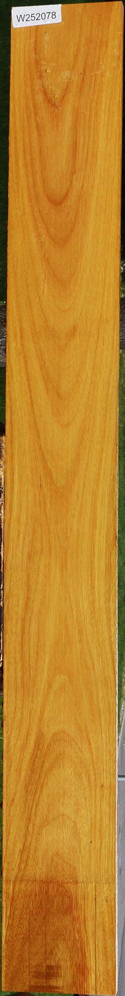 Argentine Osage Orange Lumber