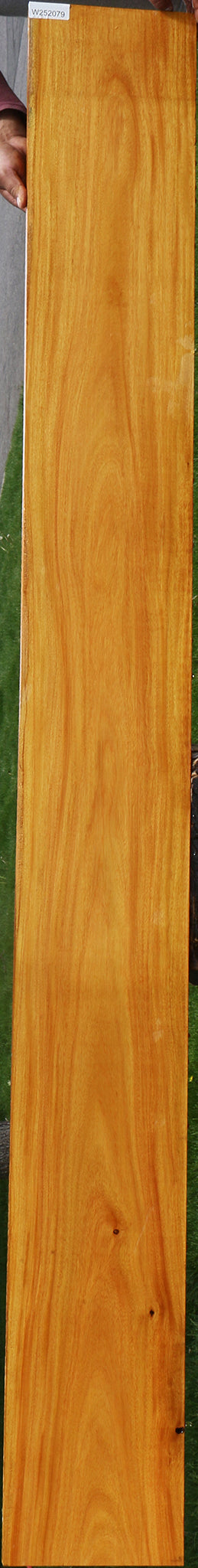 Argentine Osage Orange Lumber