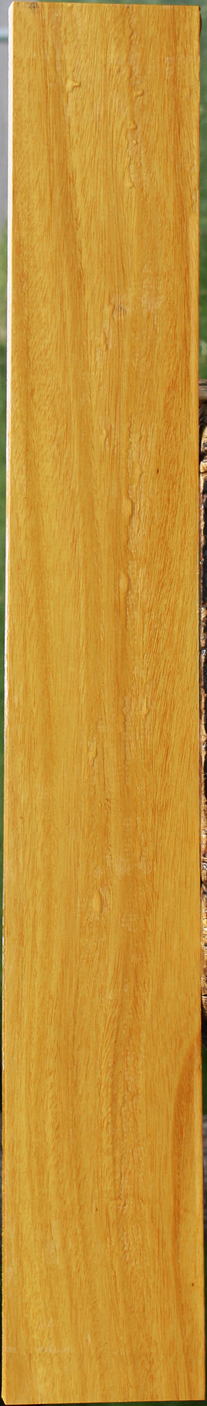 Argentine Osage Orange Lumber