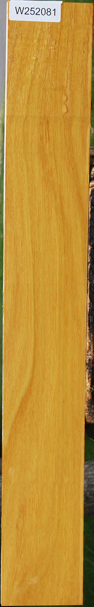 Argentine Osage Orange Lumber