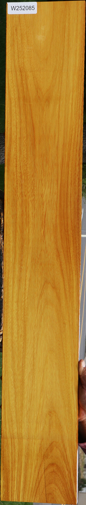 Argentine Osage Orange Lumber